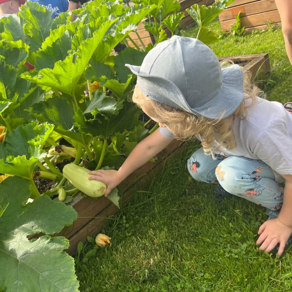 Bildē meitene atradusi kabaci sakņu dārzā
